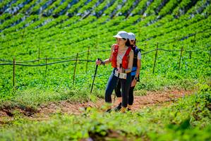 BIB: 
                            <button type="button" onclick="openModal(19163534)" class="btn btn-primary btn-sm float-right btn-popup" data-toggle="modal" data-target=".modal-high-quality">
                        <i class="fas fa-shopping-cart"></i> Add to Cart
                    </button>
                                            <button type="button" onclick="isThisMe(19163534, true)" class="btn btn-success btn-sm float-right btn-popup btn-isme hidden" data-toggle="tooltip" data-placement="bottom" title="นี่คือรูปของคุณใช่ไหม คลิกที่นี่เพื่อเอาเข้าอัลบั้ม">
                        <i class="fas fa-plus"></i> Add to album
                    </button>
                    <button type="button" onclick="isThisMe(19163534, false)" class="btn btn-warning btn-sm float-right btn-popup btn-isnotme hidden">
                        <i class="fas fa-ban"></i> Remove from album
                    </button>